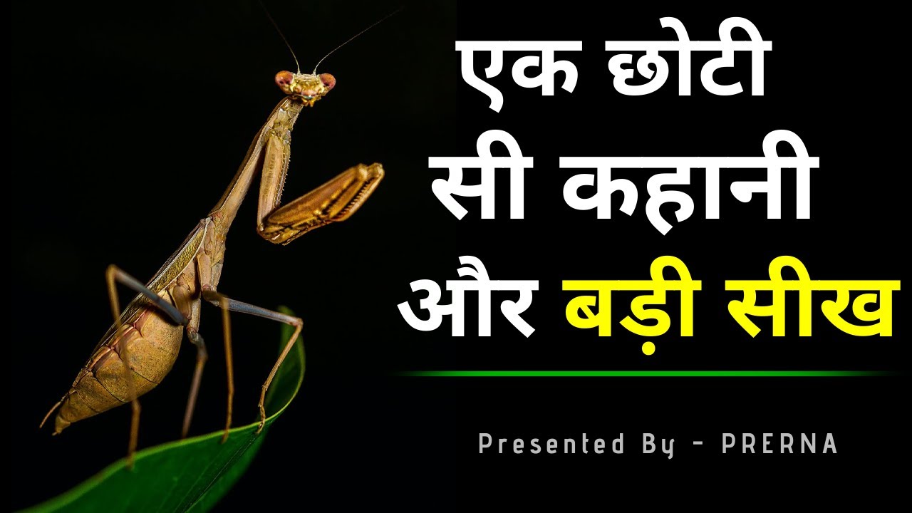एक छोटी सी कहानी में बहुत बड़ी सीख || कहानी जो अनमोल सीख दे || Short Moral story..