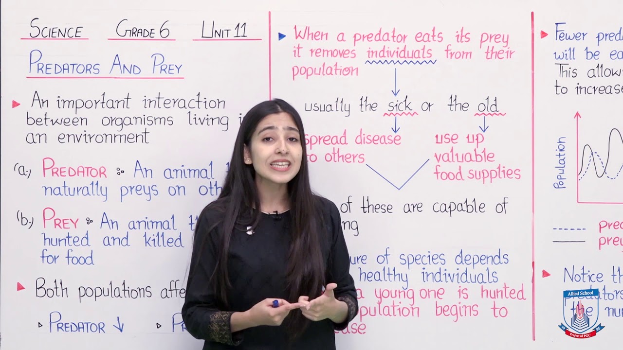 Class 6 - Science - Chapter 11 - Lecture 57 Predators/Prey - Allied Schools