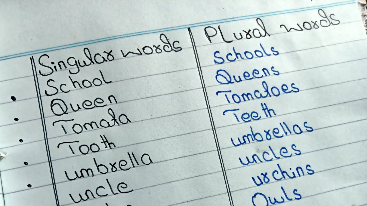 singular and plural in english grammar | 25+ words | english grammar