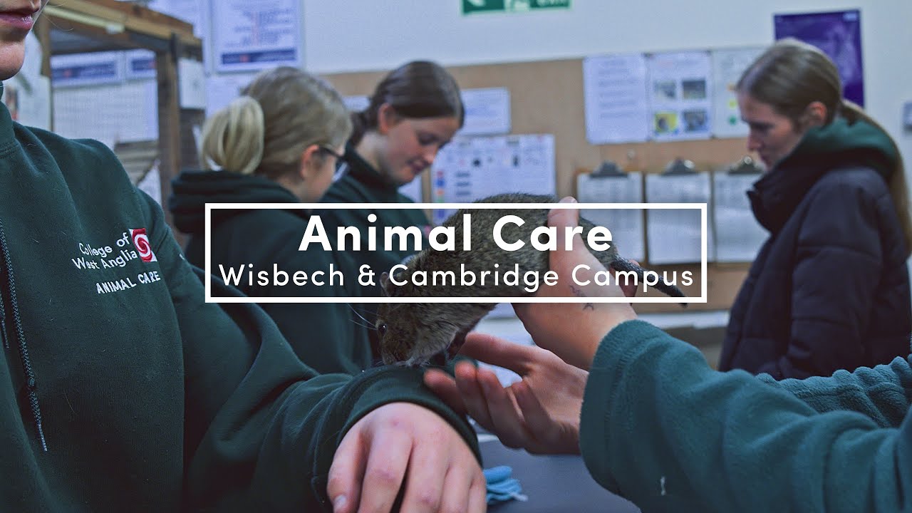 Animal Care & Management Courses at our Cambridge and Wisbech Campuses