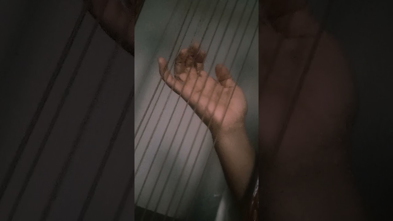 Ethiopia begena #lyretutorial #harp