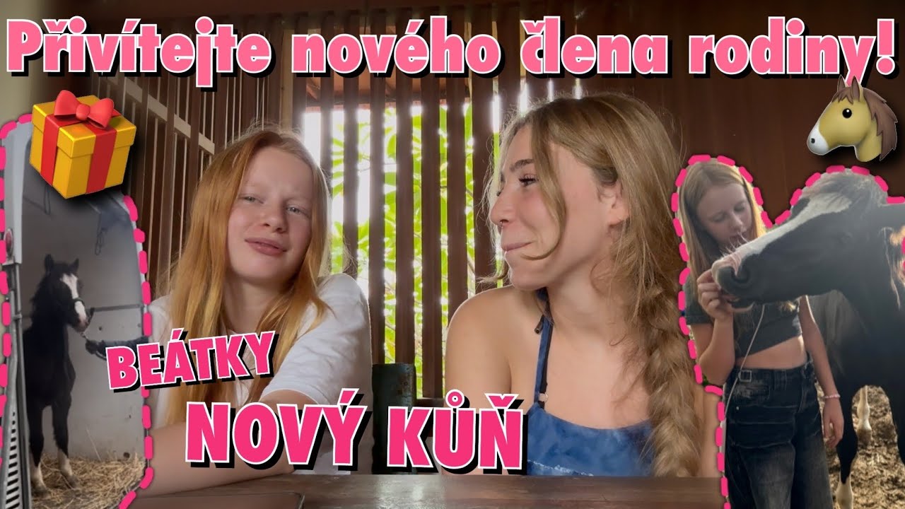 PŘIV&Iacute;TEJTE NA&Scaron;EHO NOV&Eacute;HO KONĚ // vlog a Q&A