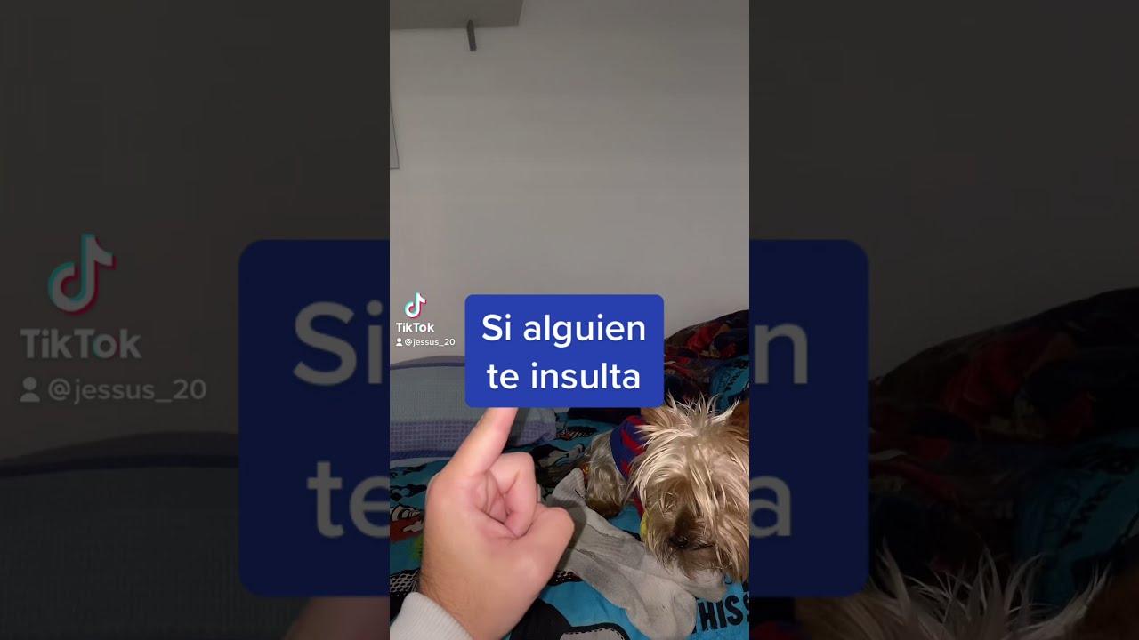 Si alguien te insulta - Que responder