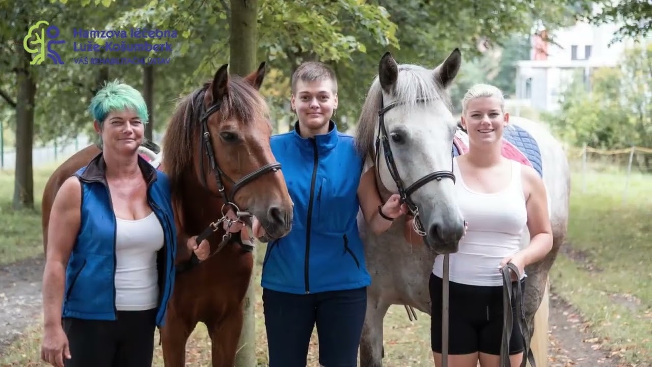 Hamzova léčebna - přehled lůžkových pavilónů