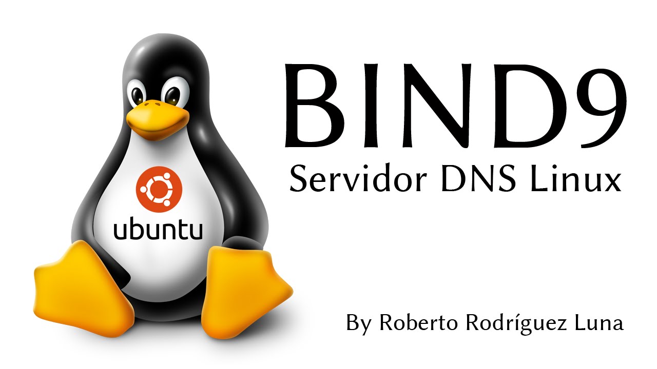 Instalar 💻 configurar un servidor DNS 🐧 LINUX ( Ubuntu )