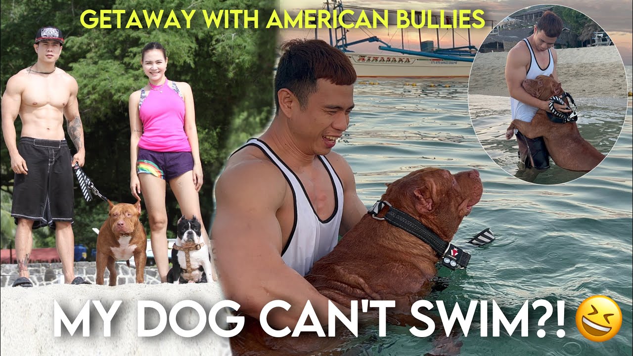 BEACH SWIMMING WITH AMERICAN BULLIES • BEAST & SAILORMOON SINO ANG MAGALING?! • Sam Walastik