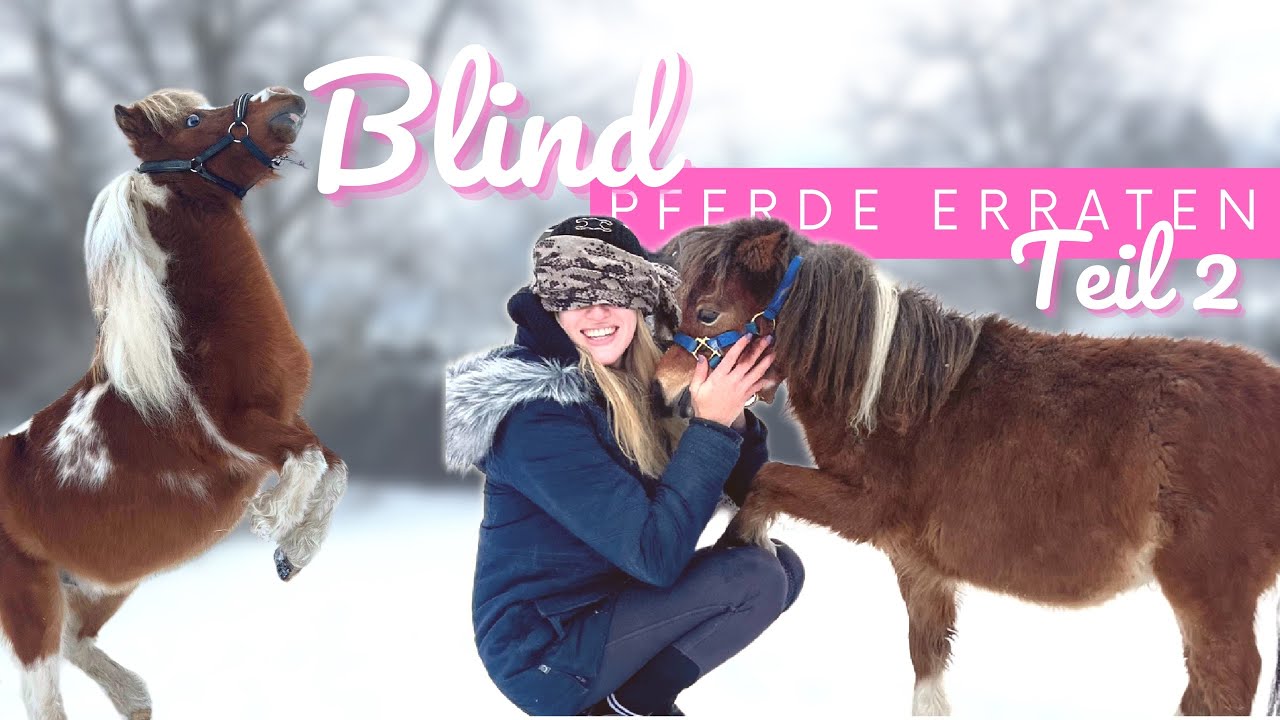 Ich errate meine PONYS BLIND😨 TEIL 2