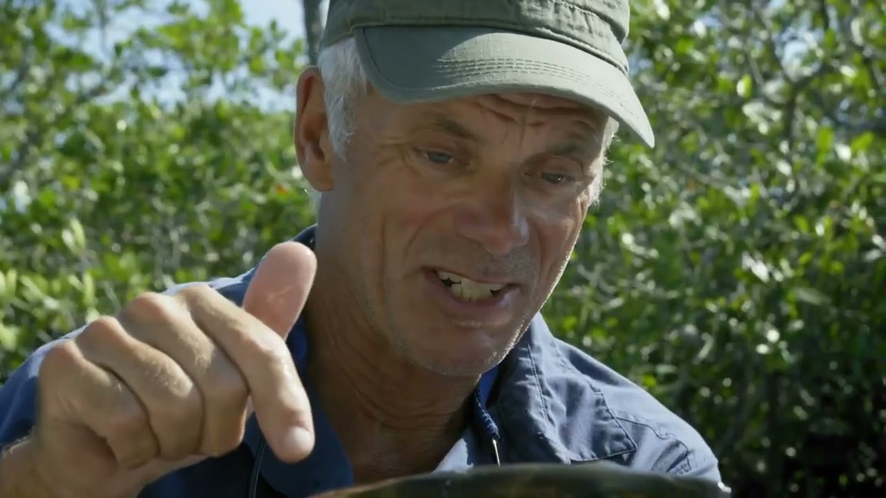 Monstros do Rio (cabe&ccedil;a de navalha)..... Jeremy Wade.