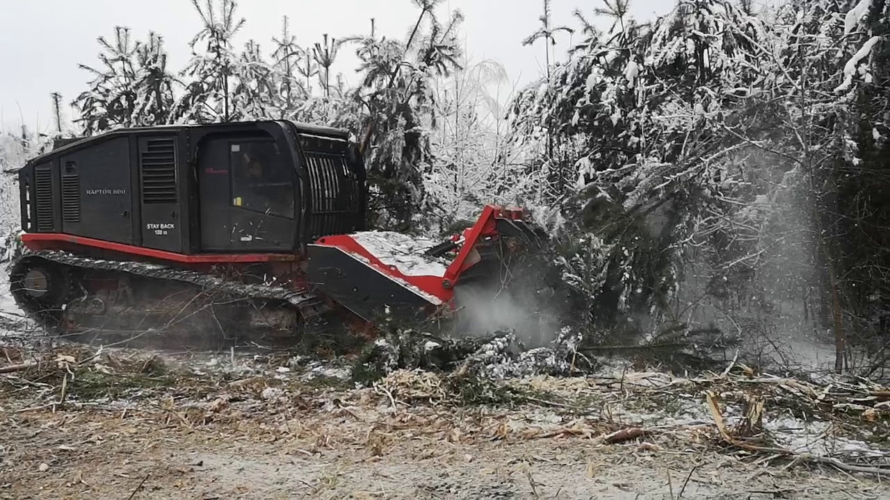 Мульчер PRINOTH RAPTOR 800. Розчистка зимою в Україні
