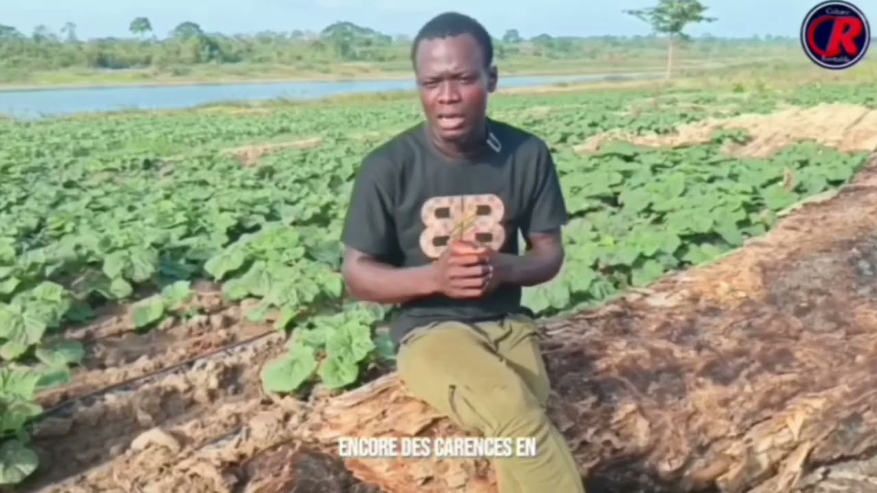 La superficie ne garantit pas le succès en agriculture ❌