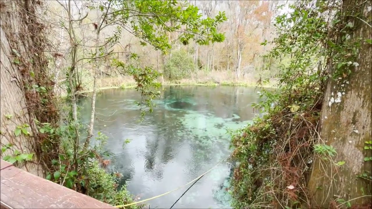 In this video we went to Ichetucknee Spring State Park