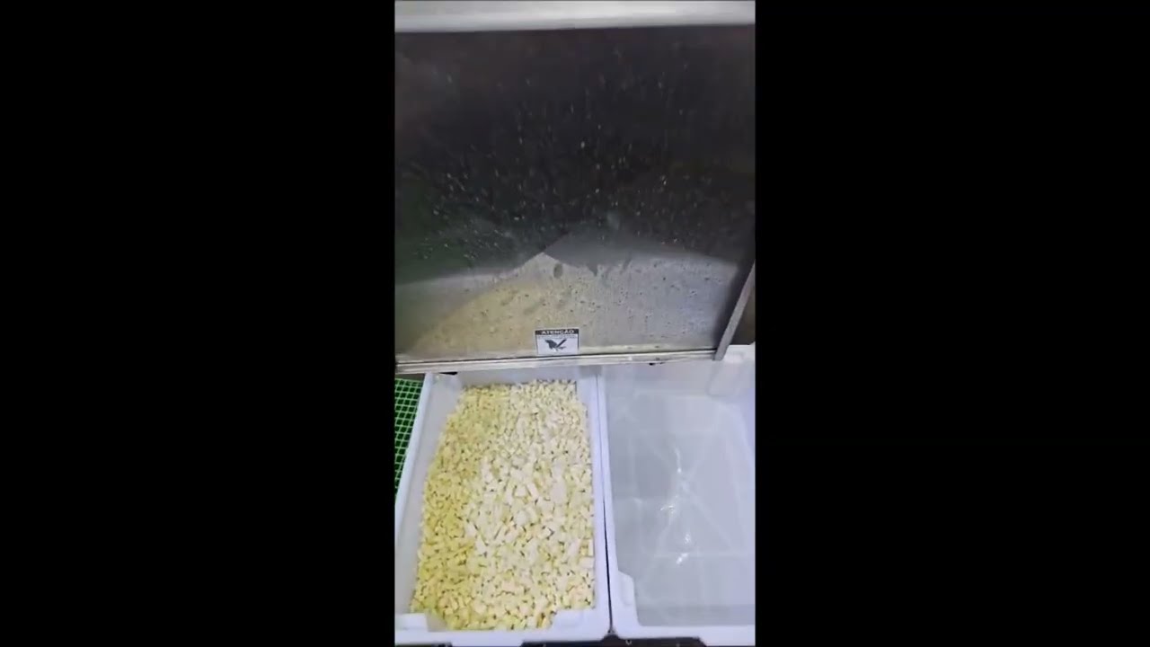 Cubetadeira B100IL (Cubos de Queijo Coalho)
