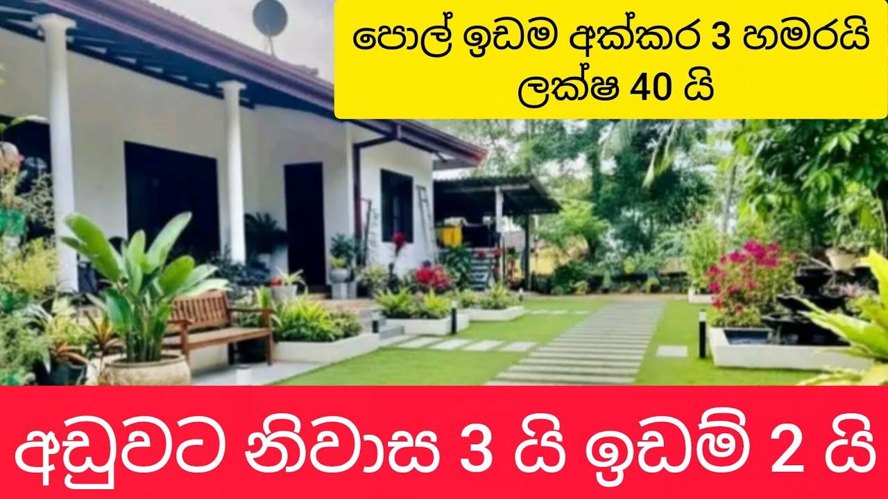 අඩුවට නිවාස 3 යි ඉඩම් 2 යි පොල් අක්කර 3 හමරයි ලක්ෂ 40 අනුරාධපුර  🏡️🏡️ supun sada home lend selling