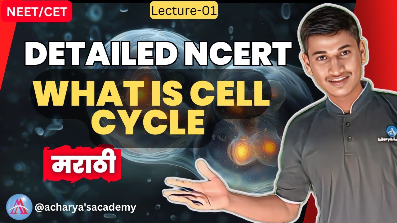 what is cell cycle and m-phase detailed ncert in marathi.