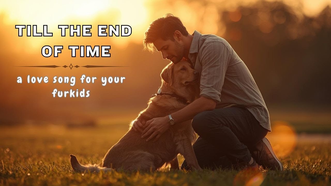 Till The End of Time| Pet  Love Song 🐾 ❤️ | For dog-lovers