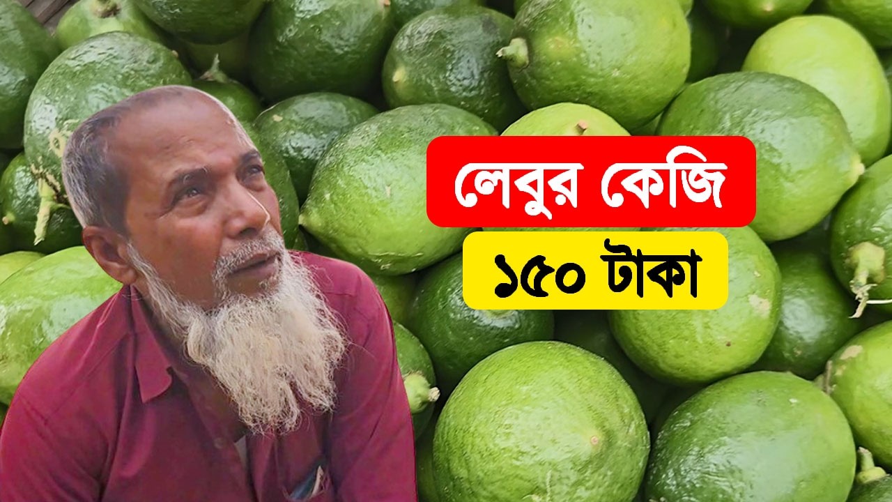 আজকের কাঁচা বাজারের দরদাম | লেবুর কেজি ১৫০ টাকা | Village Life