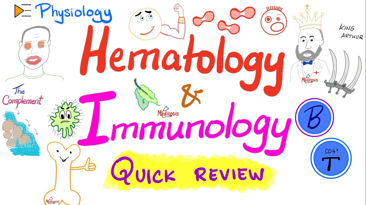 Przegląd fizjologii krwi i układu odpornościowego (immunologia i hematologia)