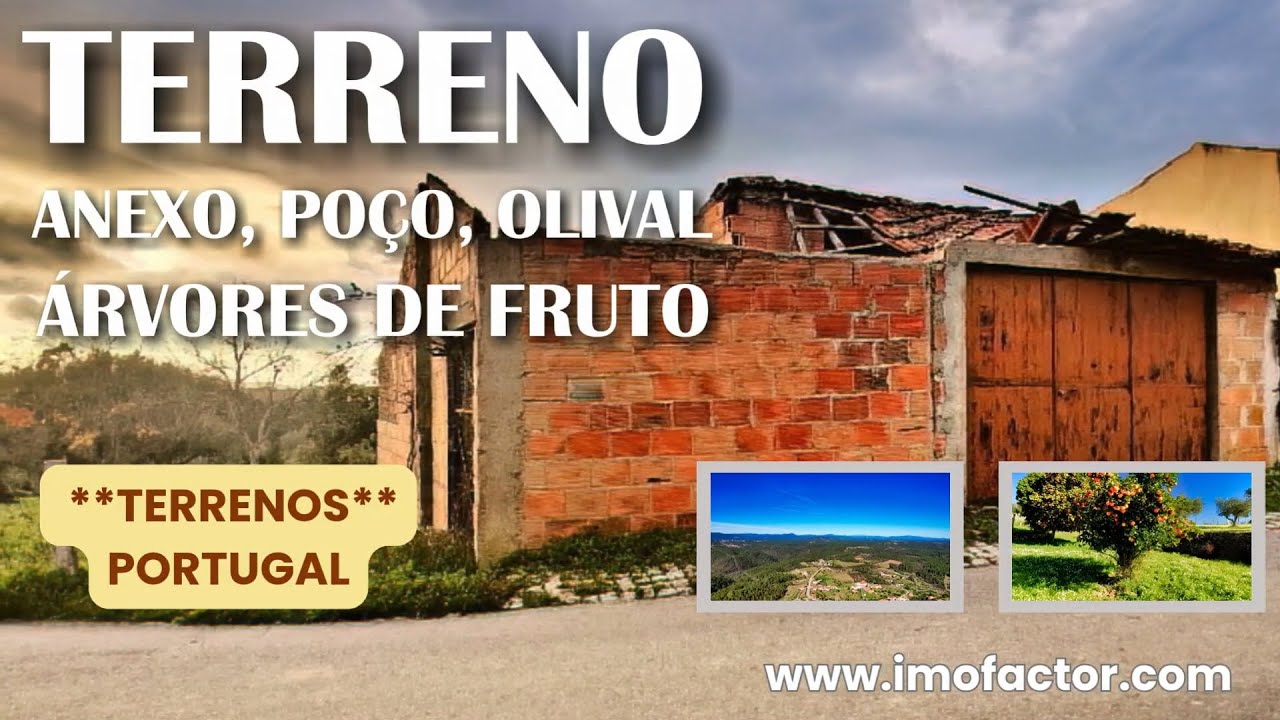 🌾 €24900 - Terreno com Anexo, Poço, Olival e Árvores de Fruto | Castelo Branco Portugal