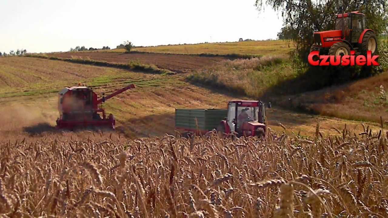 Żniwa 2012 / Deutz Fahr M2385 / Zetor 8540 / HD / Klementowice