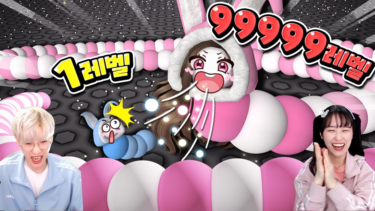 지렁이 키우기 세계1등 도전 해봤습니다