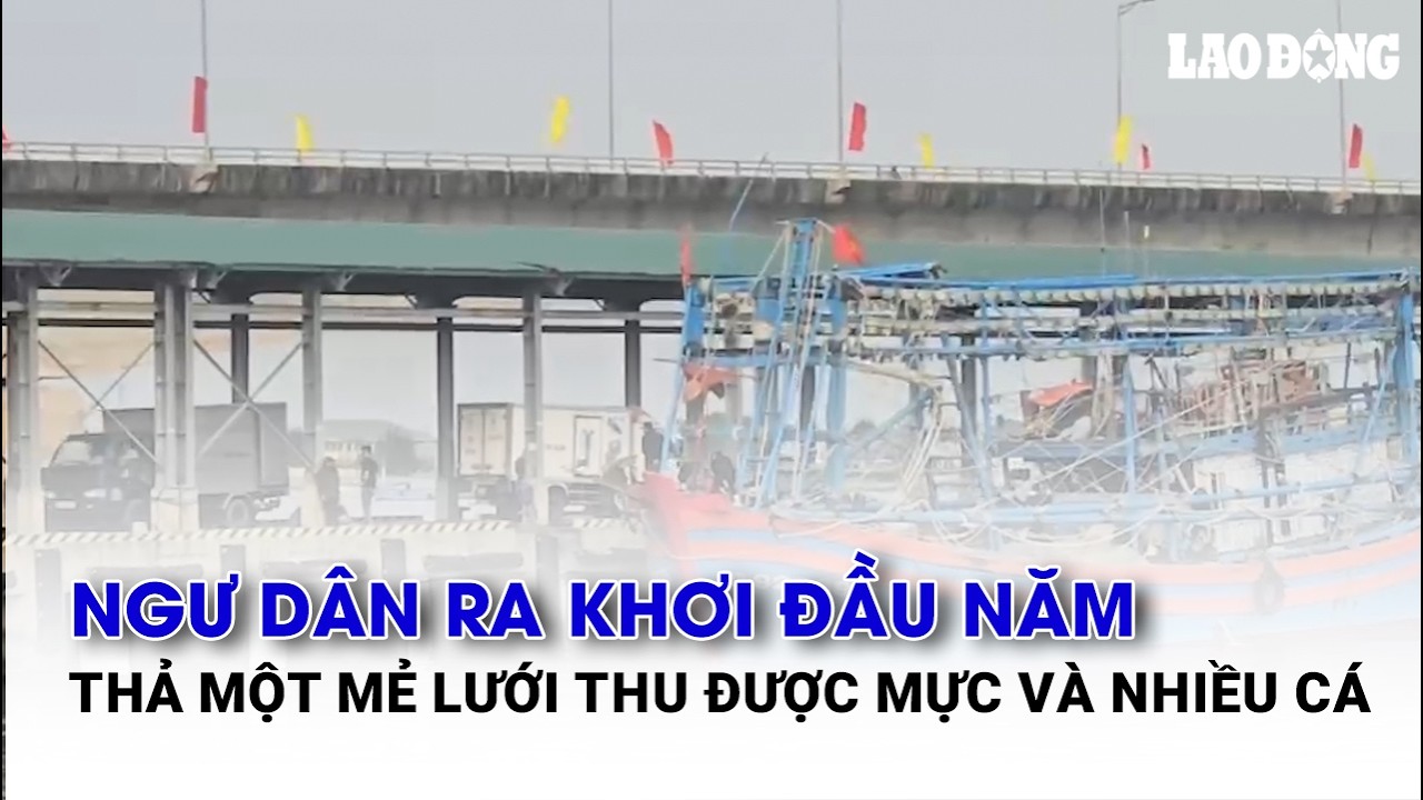 Ngư dân ra khơi đầu năm, thả một mẻ lưới thu được mực và nhiều cá| Báo Lao Động