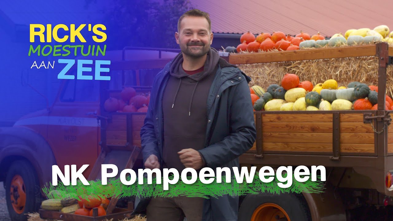 De grootste pompoen van Nederland op ´t Pompoenfestival | Alles Wat Bloeit | Rick's Moestuin Aan Zee