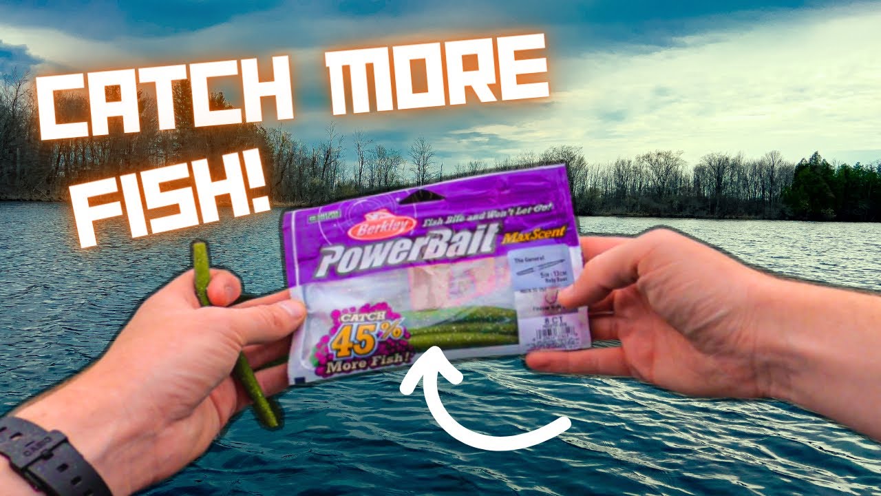 Catch More Fish With This Stick Bait! Berkley MaxScent General!