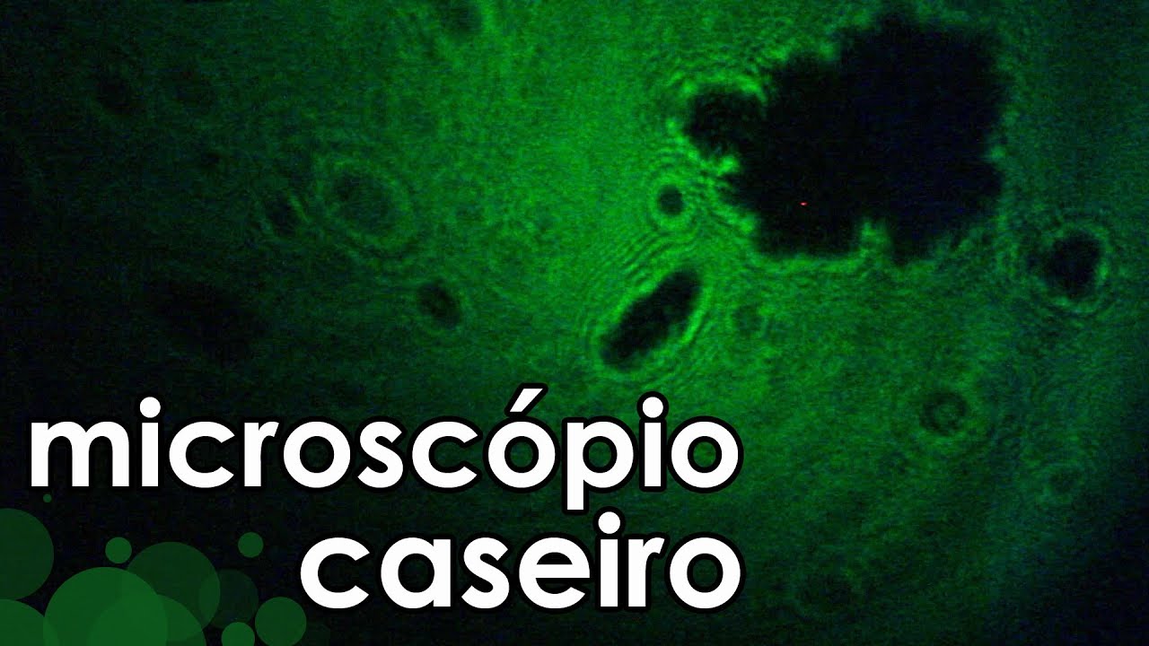 MICROSCÓPIO caseiro com laser (EXPERIÊNCIA de FÍSICA e Biologia) - Homemade microscope