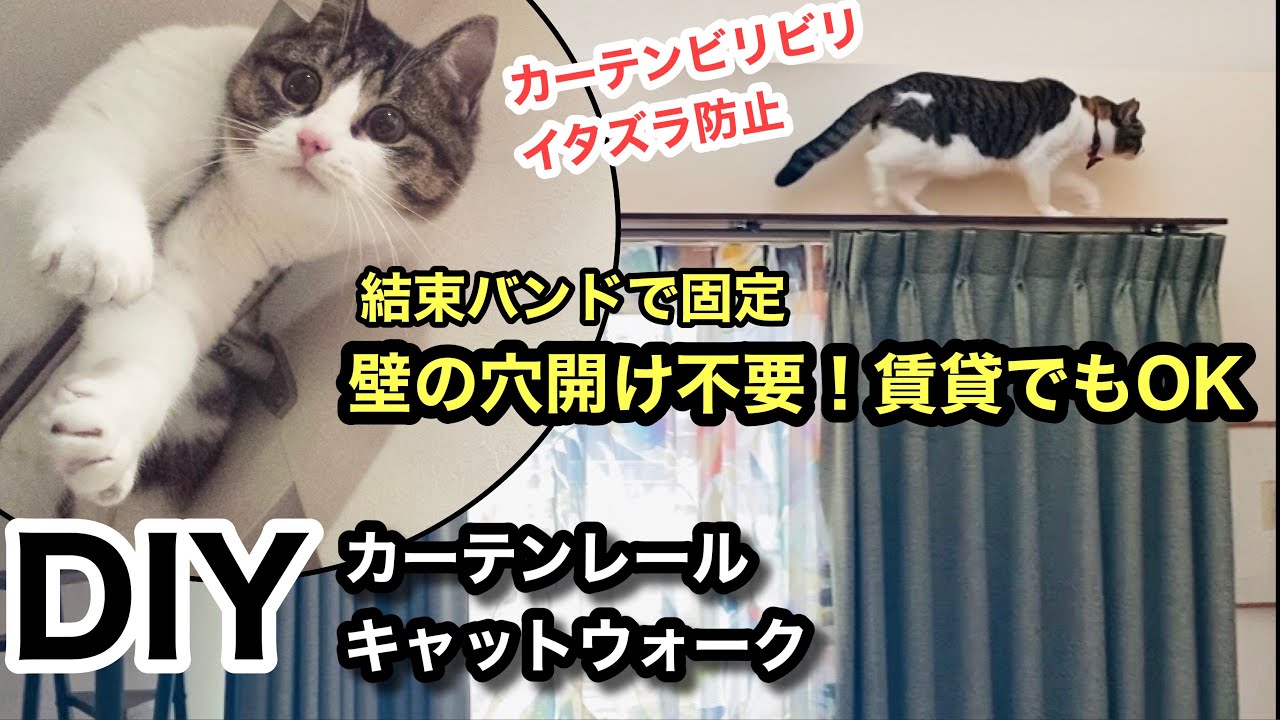 【DIY】猫も人も楽しい部屋づくり｜イタズラ防止｜壁に穴開け不要「カーテン・キャットウォーク」の作り方