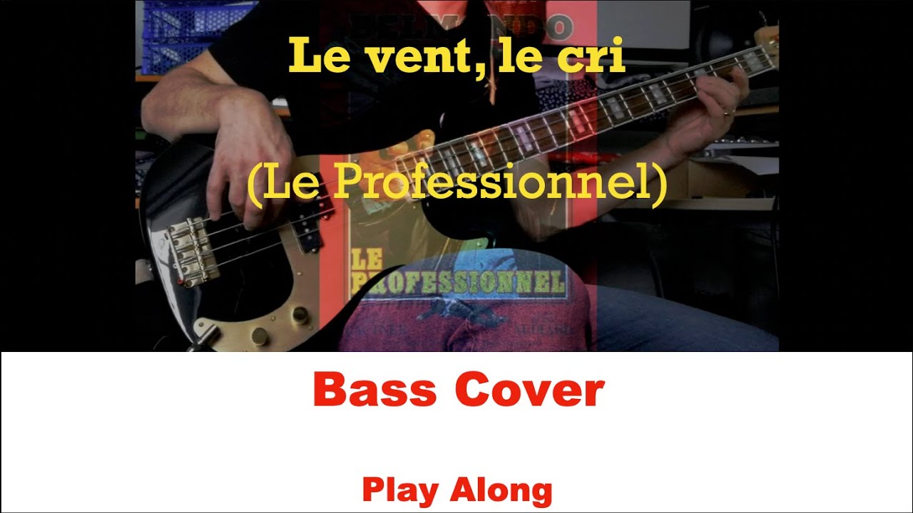 🎧 Le professionnel - Le vent, le cri (Ennio Morricone) - 1981 - Bass Cover