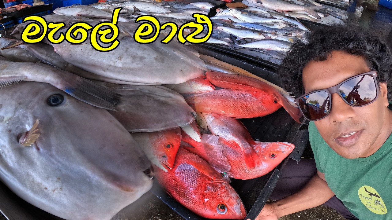 Fish Market in Village in the Malaysia | Port Dickson to Malacca 🧡 ගමෙ මාළු පරණ ගෙවල් යන මග දෙපස