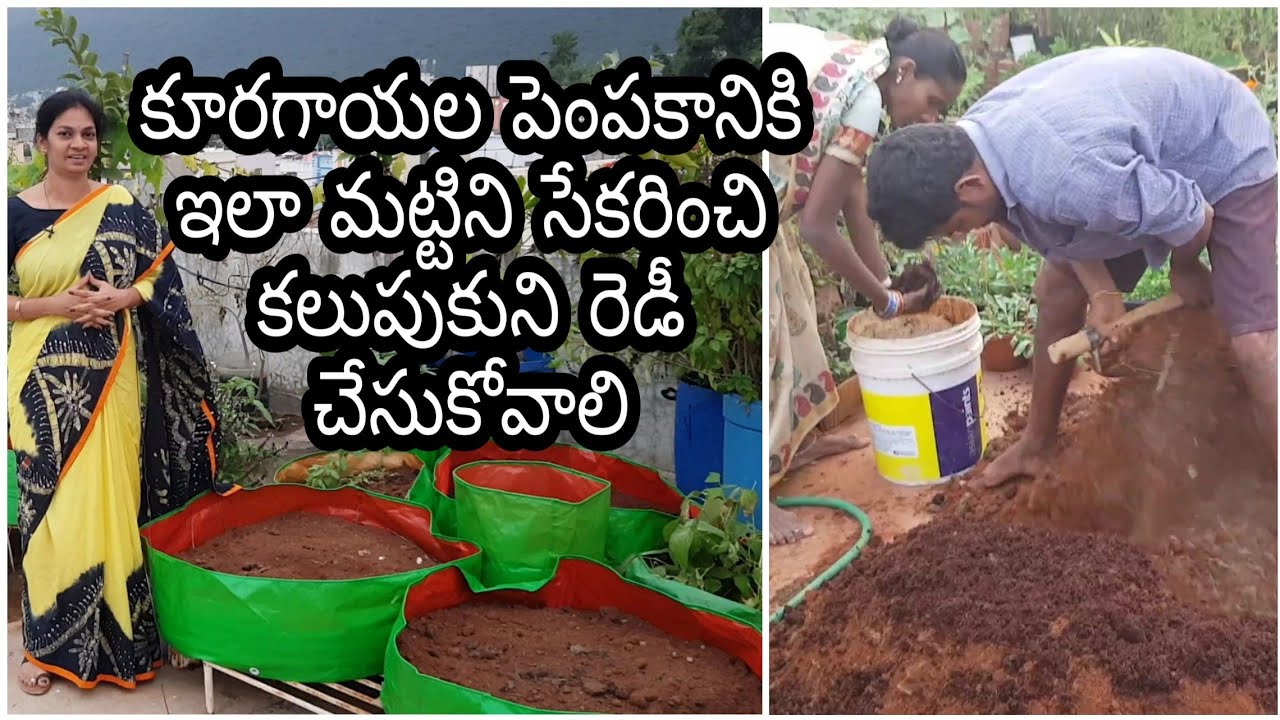 How to collect n mix soil for vegetable gardening?మట్టిని తెచ్చి కలుపుకొని ఇలా  సిద్ధం చేసుకోండి.