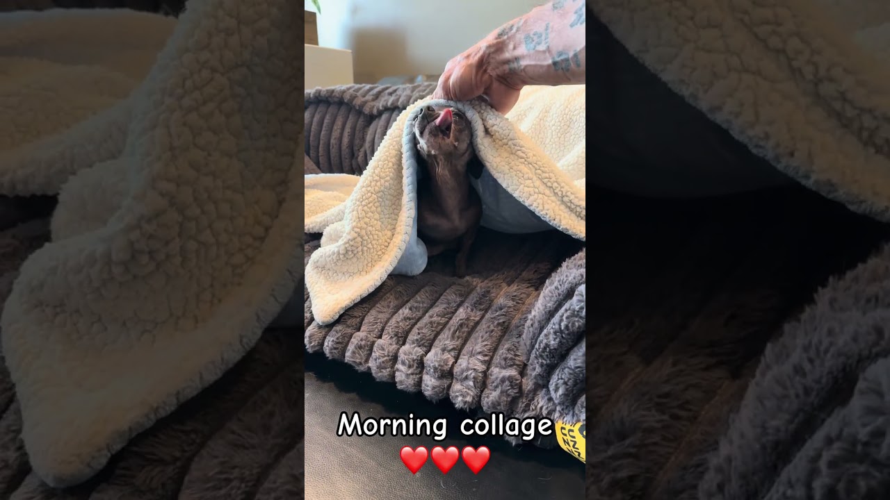 Утренний монтаж