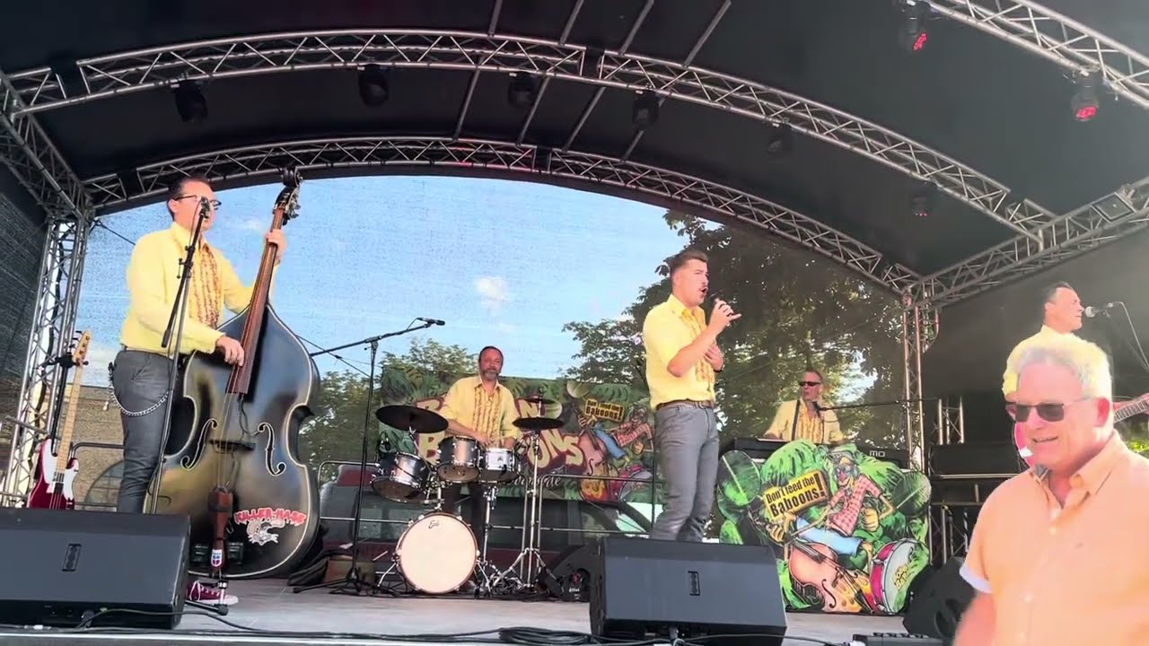 The Wild Bobbin ‘ Baboons - Teenager in Love