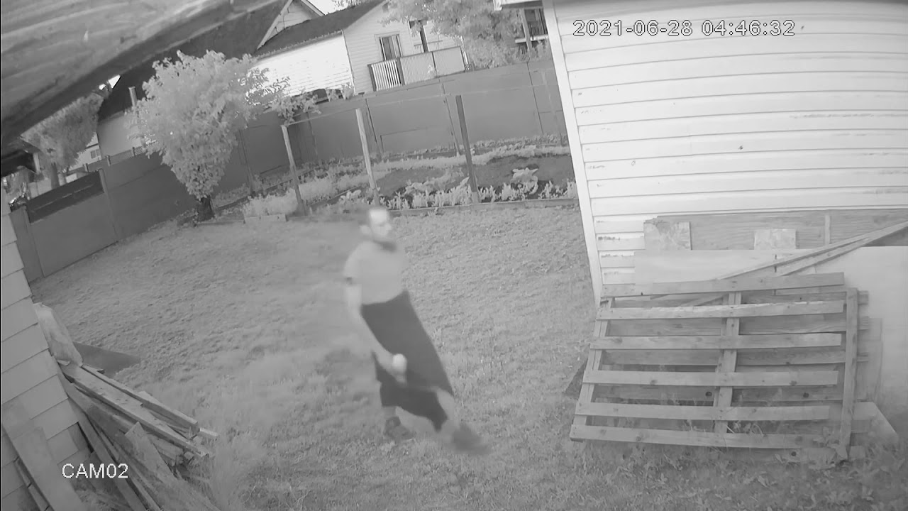 Delta Police release video to help ID arson suspect