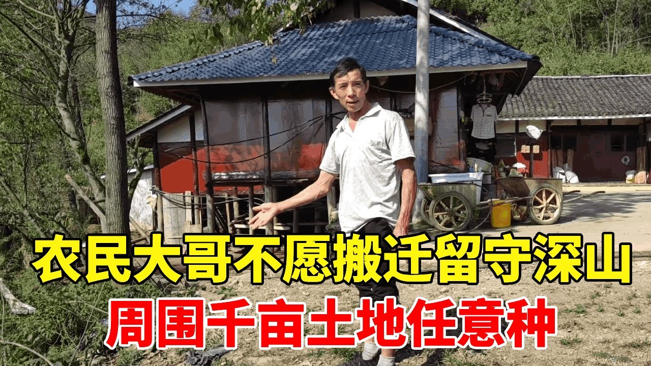 探访留守深山里不愿搬迁的农民大哥，周围千亩土地任意耕种，真的太有眼光了【乡村阿泰】