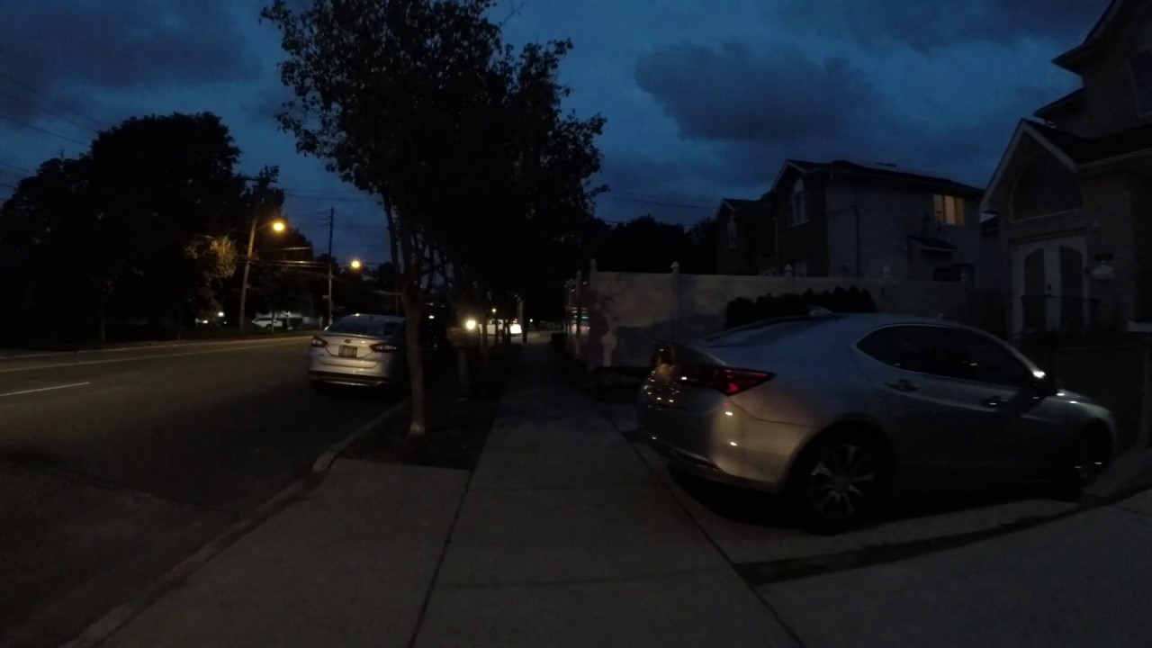Very Windy Walk at Dusk