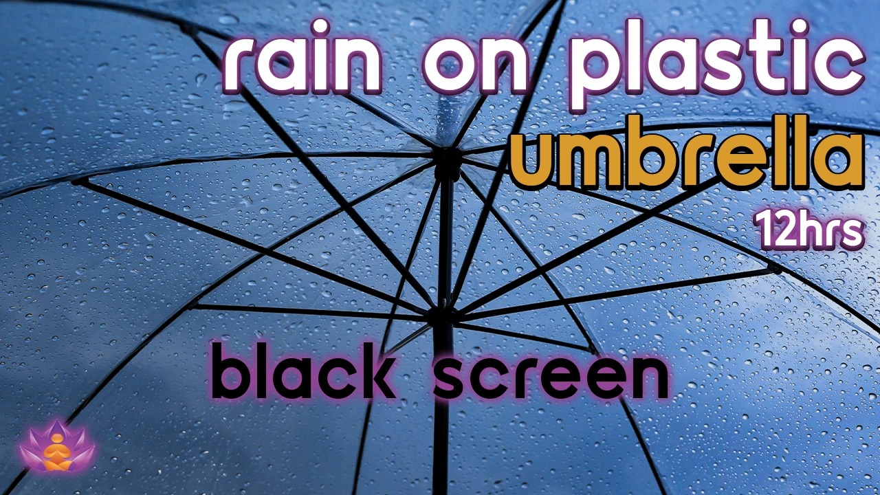 [Black Screen] Sheltered Under Umbrella | Rain on Plastic Umbrella &ndash; No Thunder | Sleep Rain Sounds
