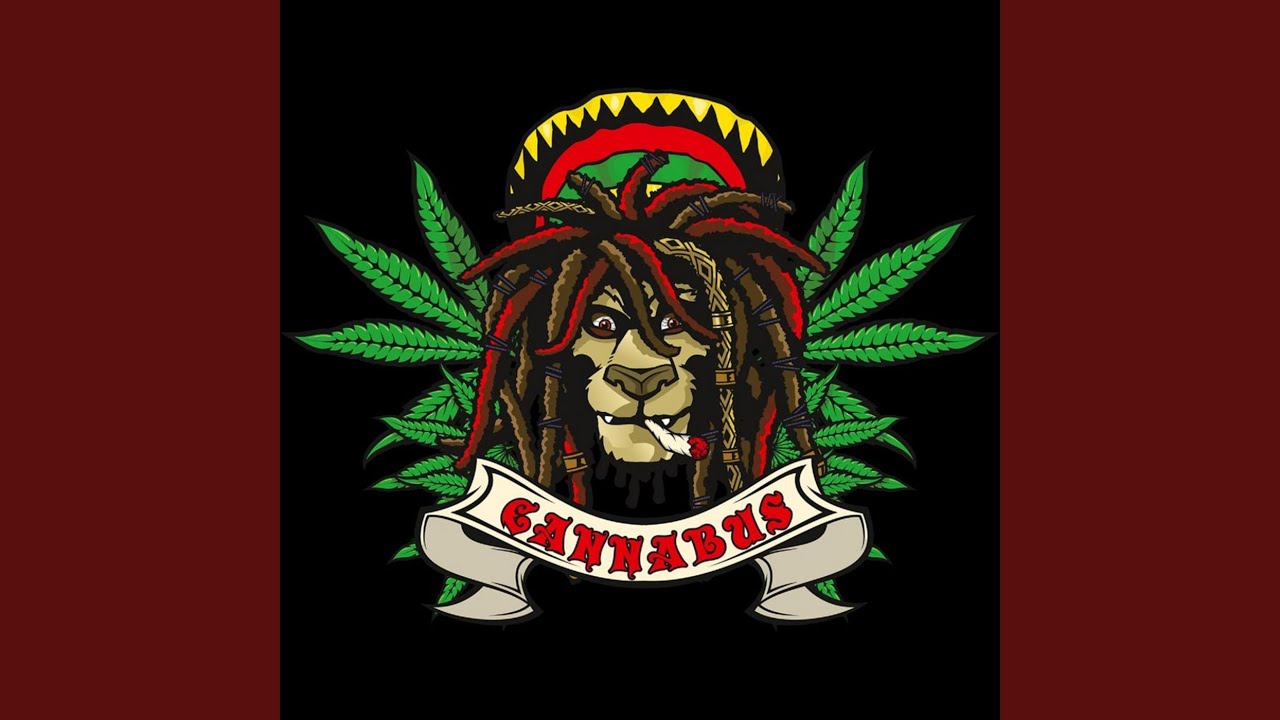 Cannabus 2011