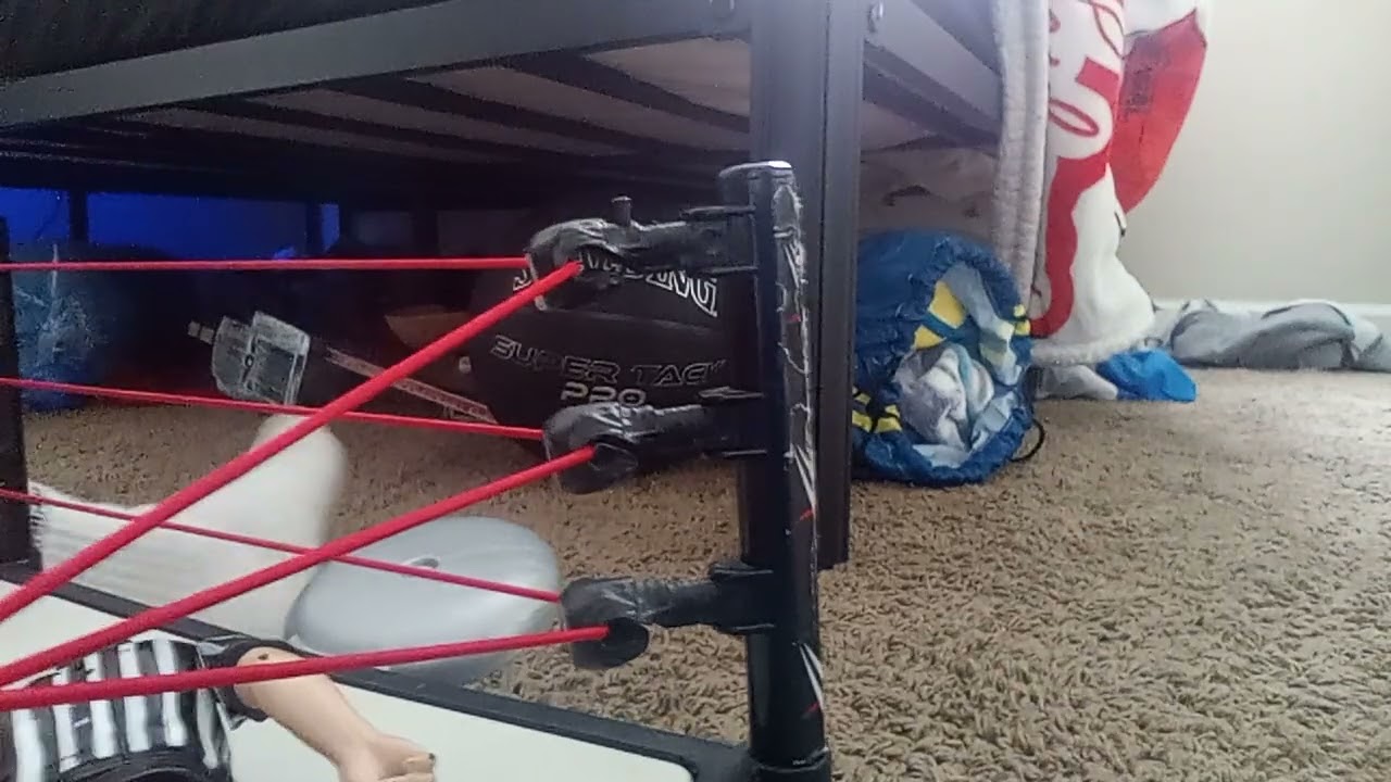 Randy orton vs Seth Rollins for the WWE world heavyweight championship title 
