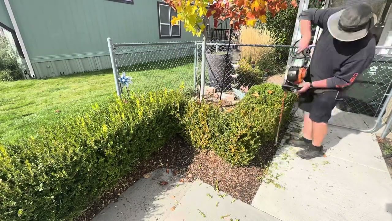 Good day doing shrub trimming. 