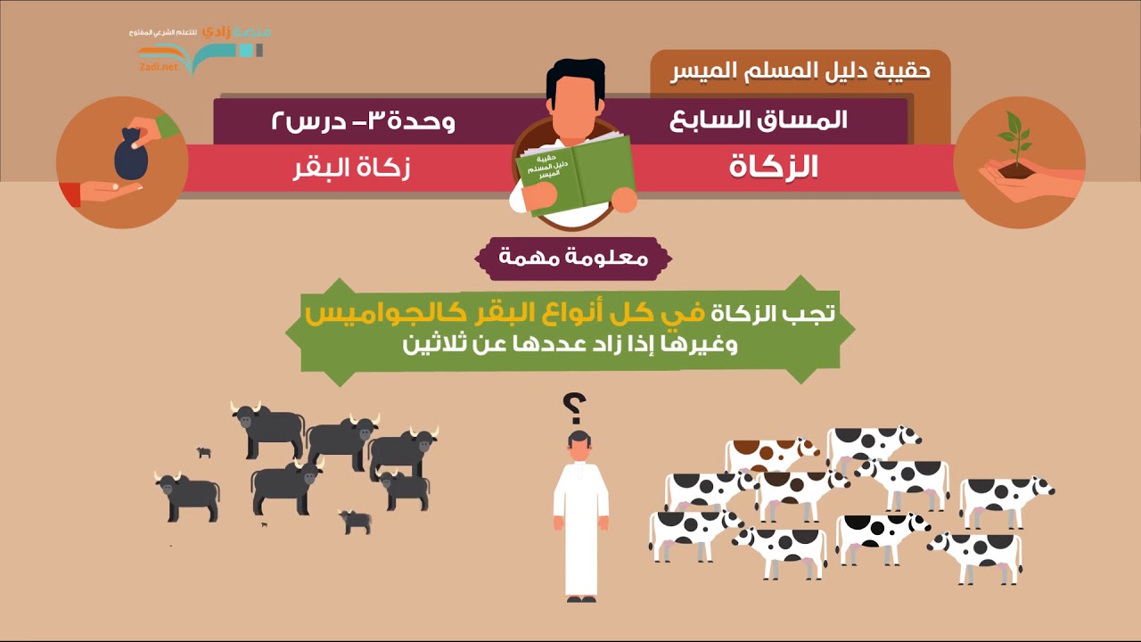 زكاة البقر | الشيخ: فهد باهمام | 2-3 | زكاة المسلم | منصة زادي