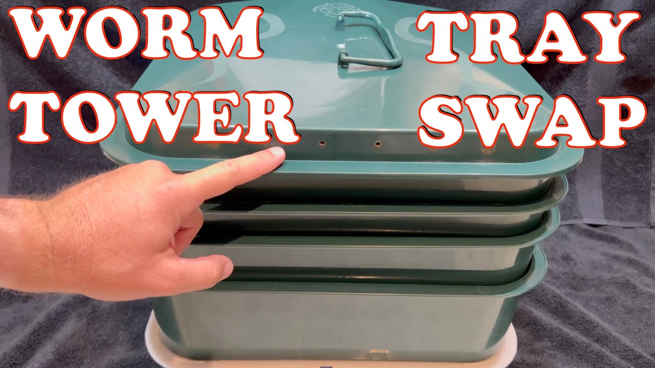 How To Add A New Inoculated Worm Tray To A Worm Tower | VermiHut Vermicompost Worm Farm