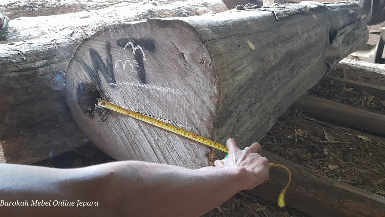 Test Keberuntungan 🤣 Beli Kayu Jati Perhutani TPK Blora Jati Hara Bolong Boleng Harga Dlosorrr...