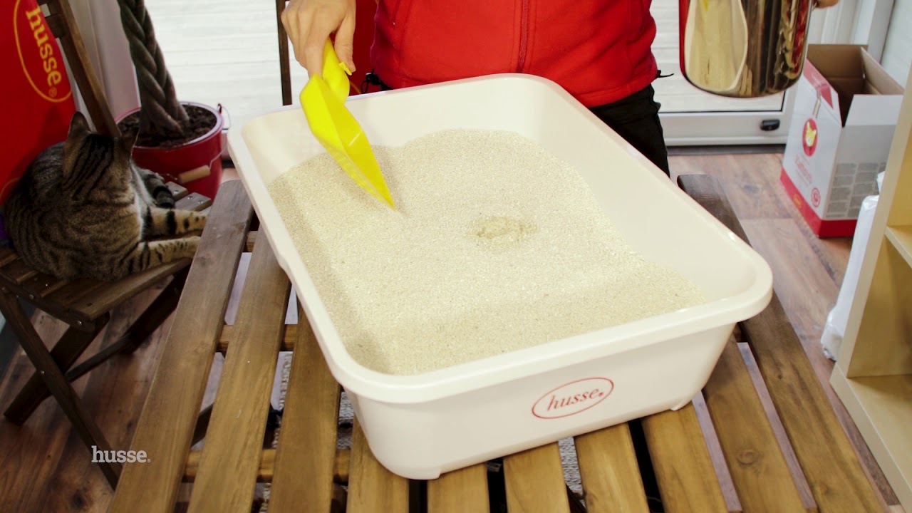 KATTSTR&Ouml; y KATTSL&Aring;DA de husse