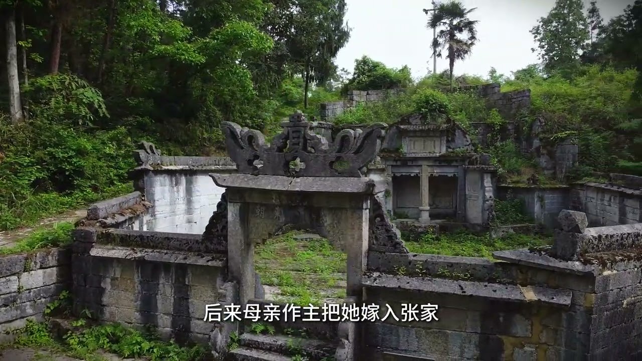 解开南川“鸡蛋坟”埋葬的秘密，起底墓主人的传奇人生！ #探古寻幽 #传奇人物 #重庆旅游打卡