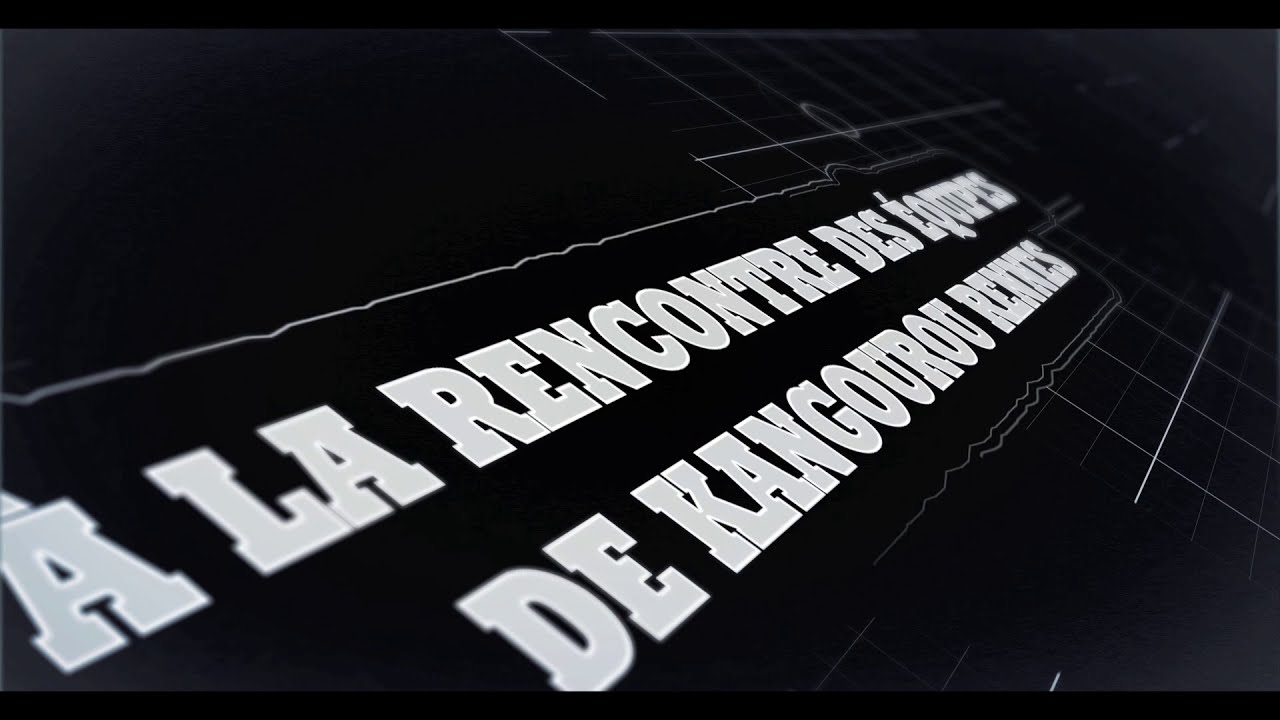 Pose de panneaux : Kangourou Rennes