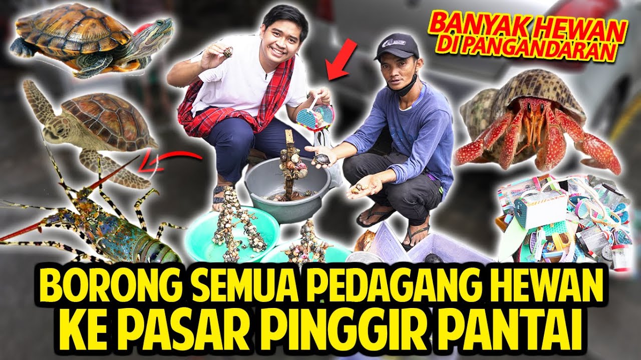 BORONG HEWAN KE PASAR PINGGIR PANTAI PANGANDARAN! KETEMU PEDAGANG YANG BIKIN AKU SALUT BANGET!