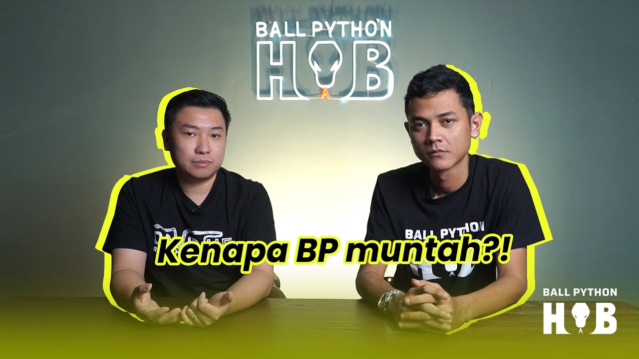 Ball Python kalian muntah? Jangan panik