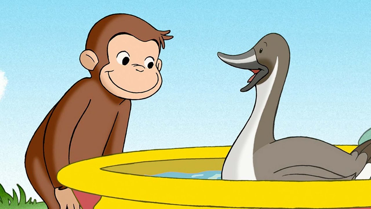 ¡Jorge ama los patos! | Jorge El Curioso En Español
